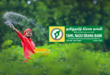 Tamil Nadu Grama Bank Recruitment 2026